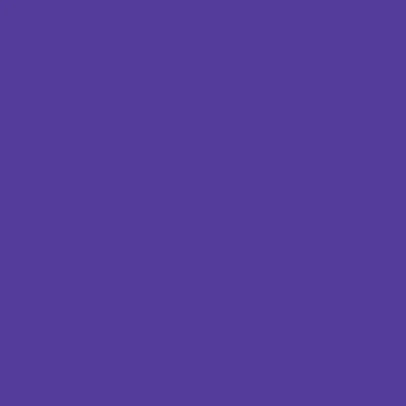 A00702YKP 268545 POLOS WARNA 41.5