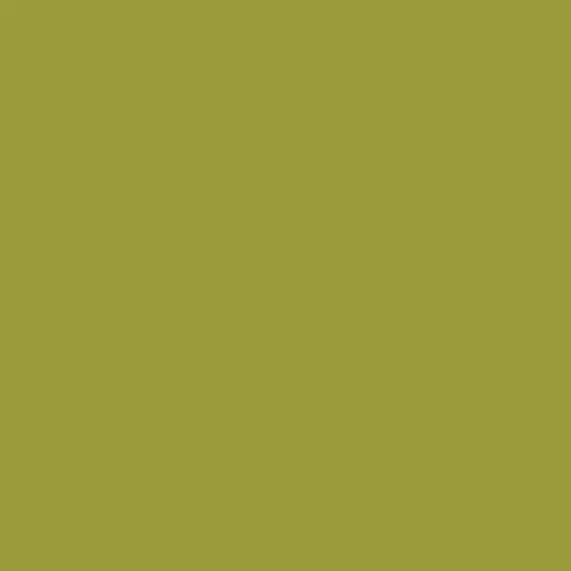 A90206BP